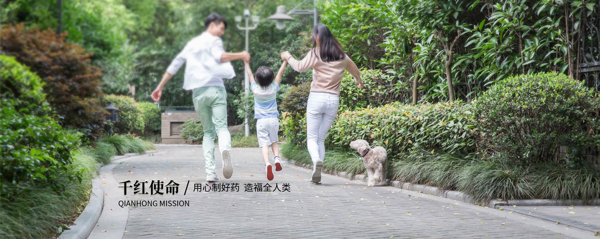 j9游戏使命